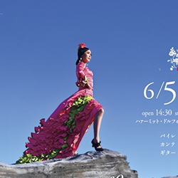 ソロライブやります！