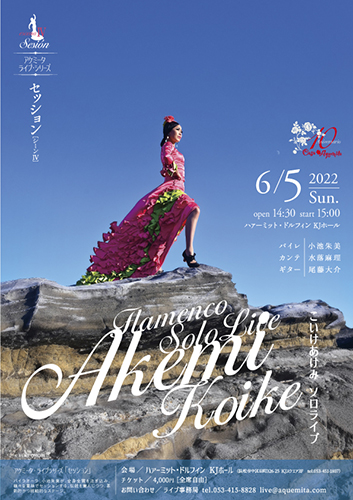 ソロライブやります！